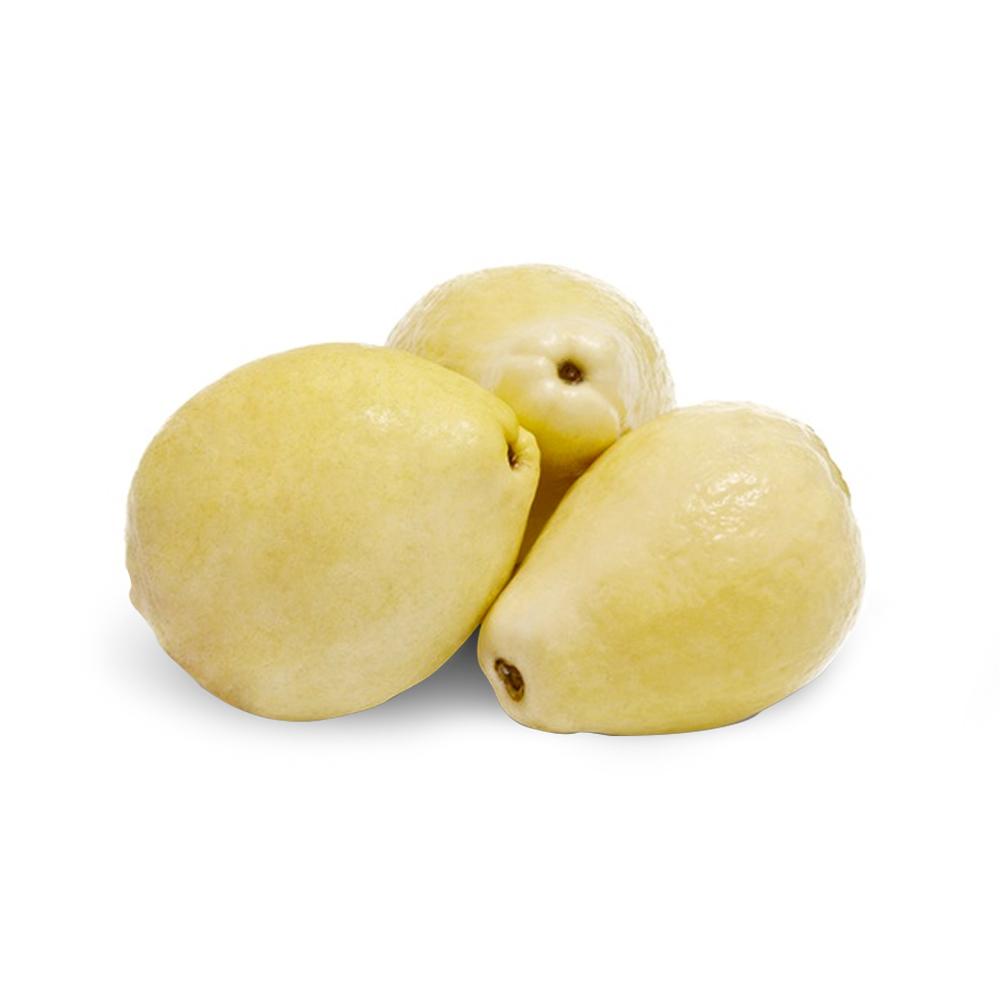 Guava - Egypt